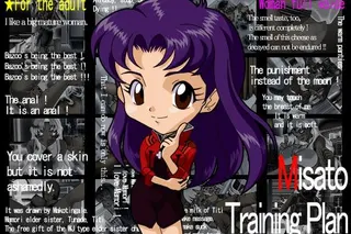 Misato Training Plan cover