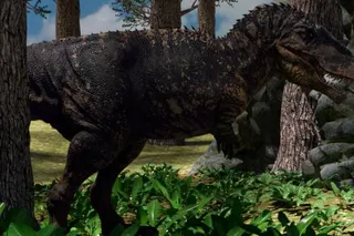 Jurassic Land cover