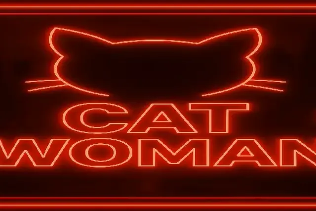 CatWoman - Adult Only cover