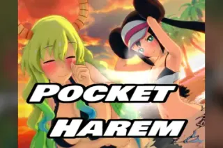 Pocket Harem cover
