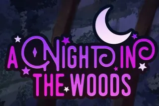 A Night in the Woods cover