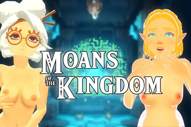 Zelda: Moans of the kingdom cover