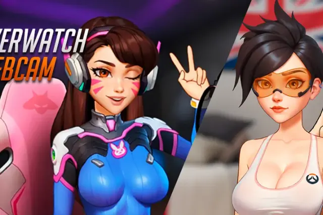 Overwatch Webcam cover