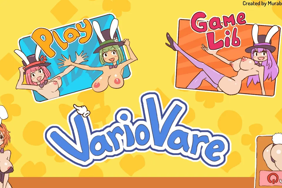 VarioVare cover