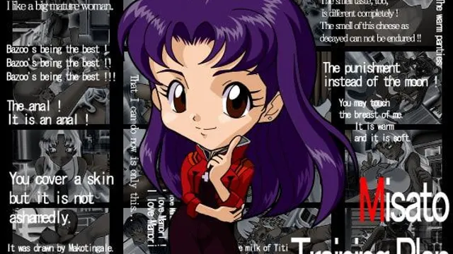 Misato Training Plan cover
