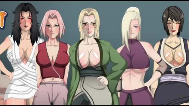 Hokage Servant cover