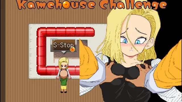 Kamehouse Challenge cover