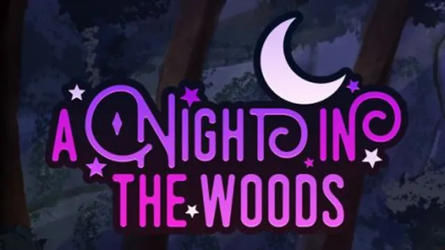 A Night in the Woods cover