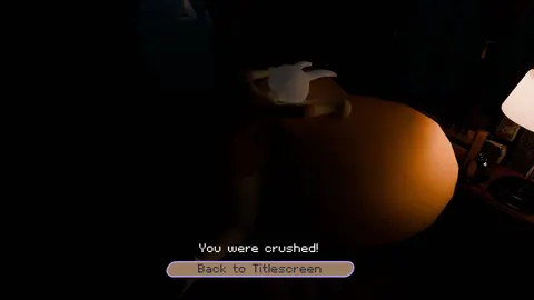 Five Nights at Fionna's screenshot 2