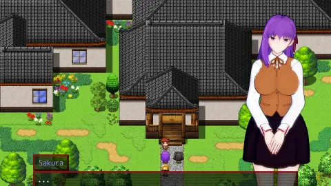Fate/Stray Night screenshot 4
