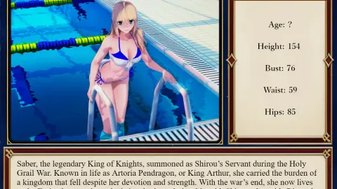 Fate/Stray Night screenshot 2